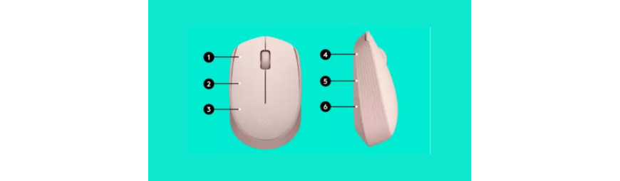 Mice