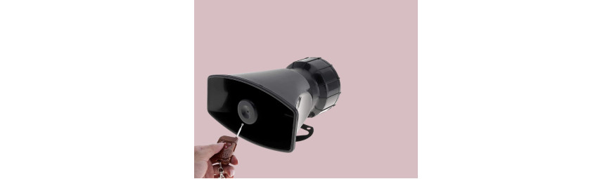 Surface-mounted Speakers