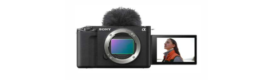 Mirrorless System Cameras