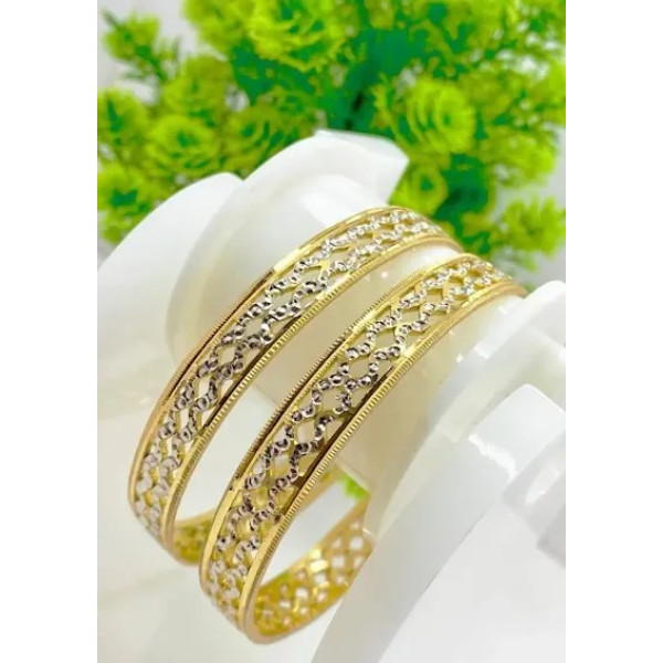 GR-Stylish and Elegant Pair of Bangles (1 Pair of ...