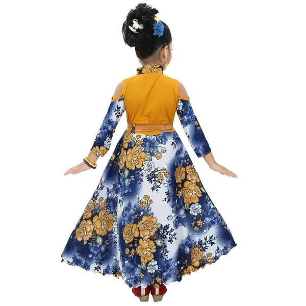 GR-Princess Party Dresses for Girls [Low Budget Product]