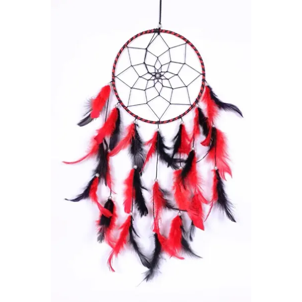 GR-Modern Dream Catcher for Home (6.3 Inch) [Low B...