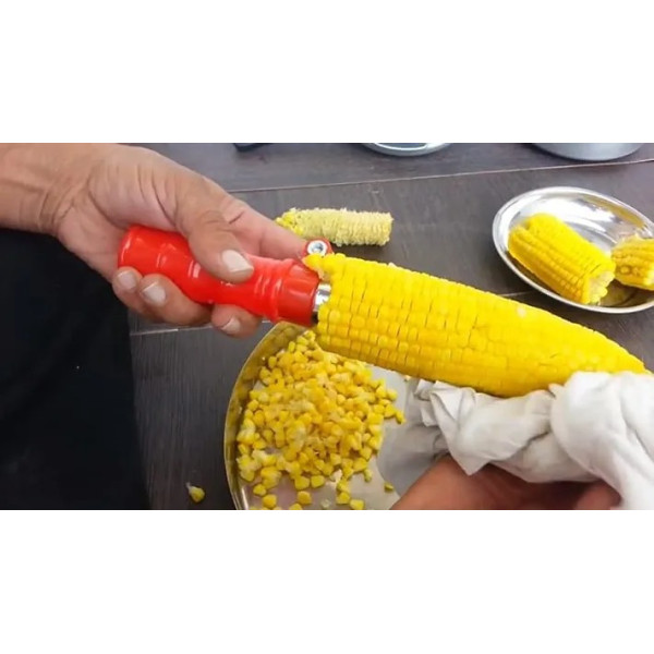 GR-Plastic and Stainless Steel Sweet Corn Cutter/Extractor/Peeler (Red and Multicolor) [Low Budget Product]