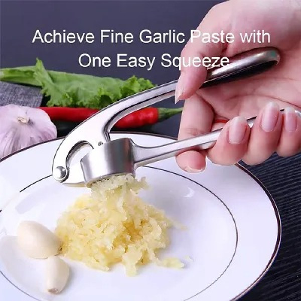 GR-Garlic Crusher, Garlic Mincer to Press Clove and Smash Ginger Handheld Zinc Alloy Rust-Proof Tool for Kitchen 