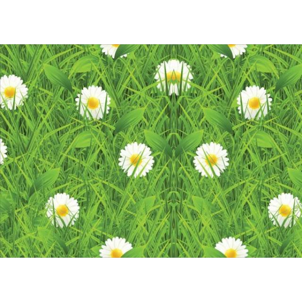 GR-Decorative Wallpaper (127 cm x 40 cm) [Low Budget Product]