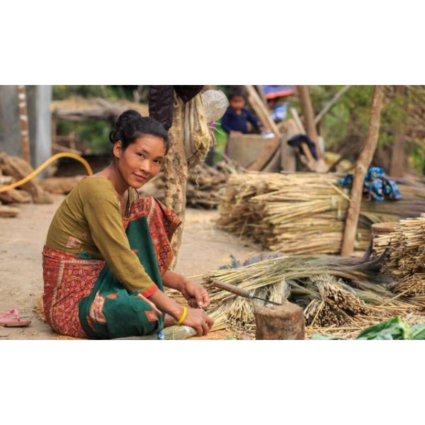 GR-Creazione Production Natural Grass Broom with Plastic Handle (Pack of 1) [Low Budget Product]