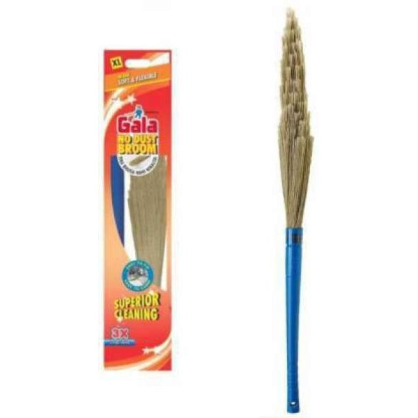 GR-Gala Plastic Dry Broom (Multicolor) [Low Budget...