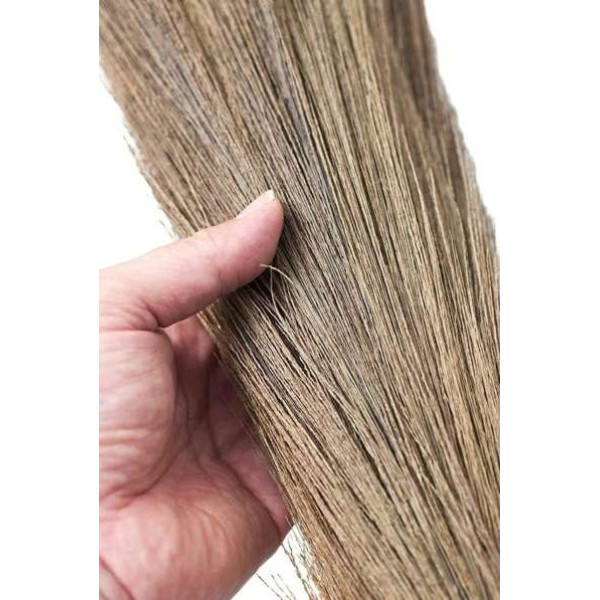 GR-Shiv Enterprise Coconut Fiber Wet and Dry Broom (Green, 4 Units) [Low Budget Product]