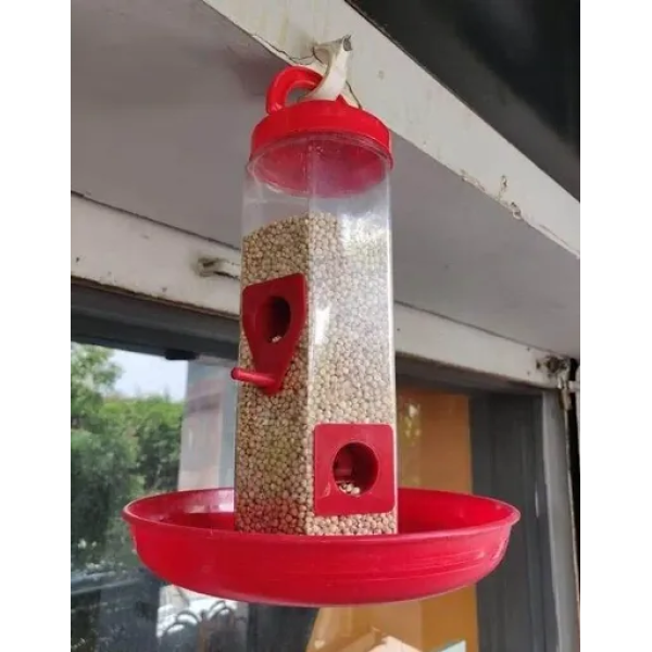 GR-Vibrant Haven: Introducing the Stylish Red Plas...