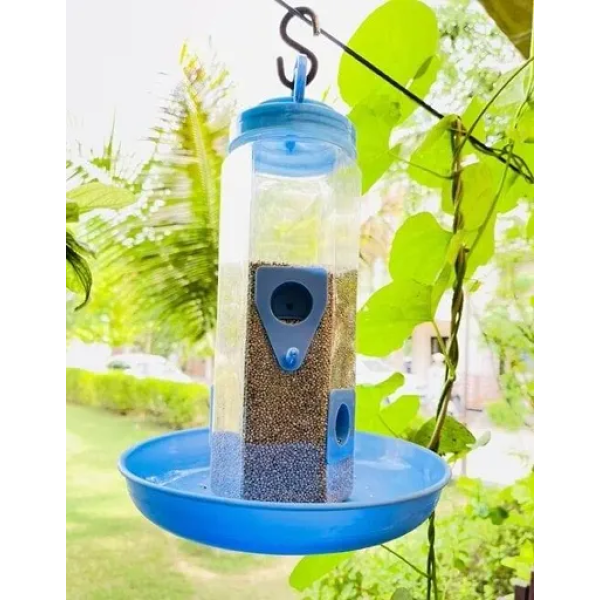 GR-Tranquil Oasis: Introducing the Stylish Blue Pl...