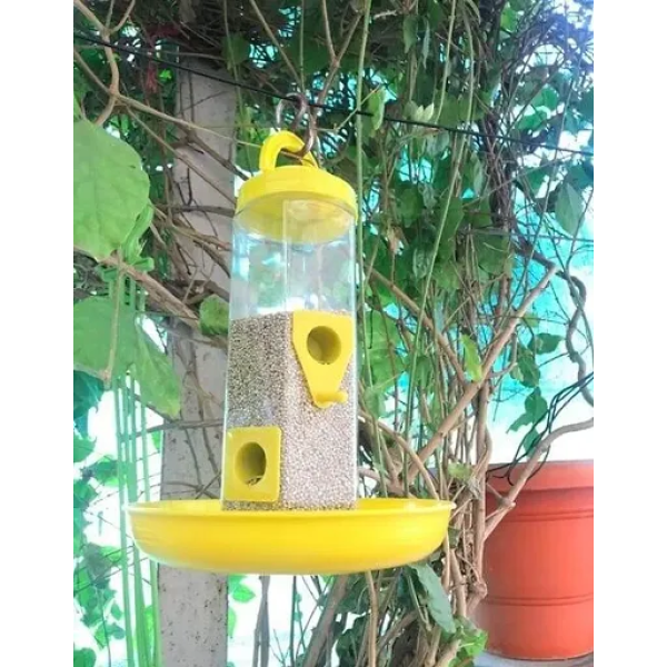 GR-Radiant Retreat: Introducing the Stylish Yellow...