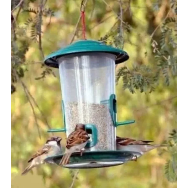 GR-Feeding Elegance: Introducing the Stylish Plast...