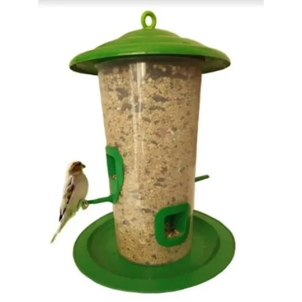 GR-Eco-Friendly Haven: Introducing the Stylish Gre...