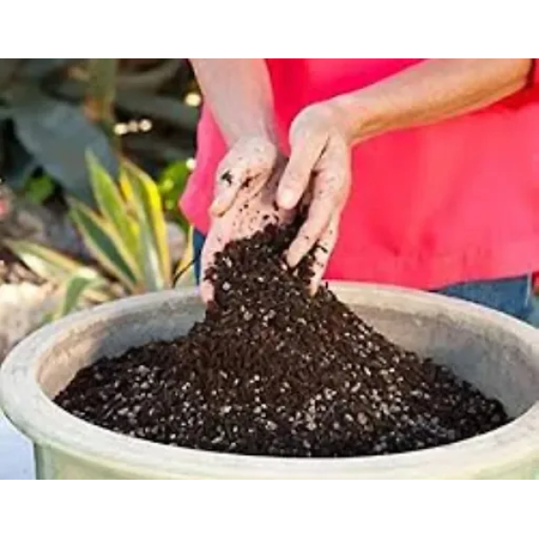 GR-Ready to use Organic Soil (2 Kg) [Premium Produ...