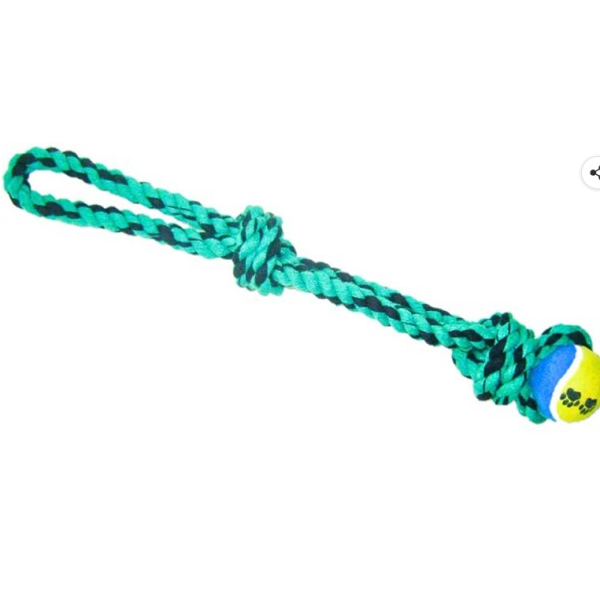 GR-Foodie Puppies Durable Dog Chew Dental Teething...