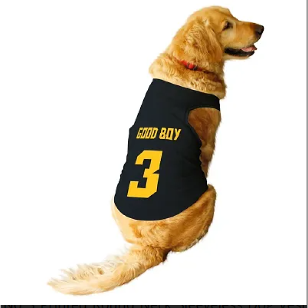 GR-Good Boy Jersey No 3 Printed Round Neck Sleevel...