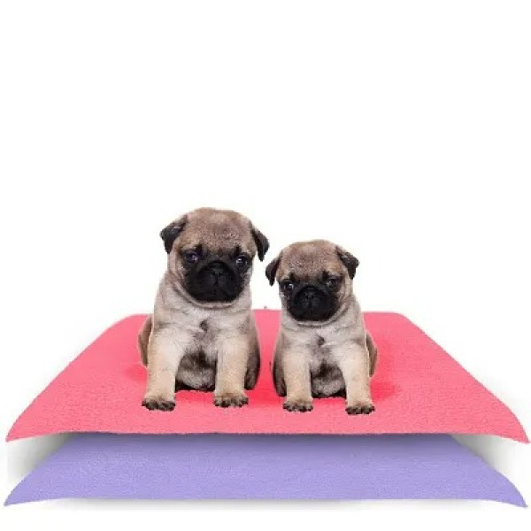 GR-Waterproof, Reusable, and Washable Pet Pee Pads for Hygienic Pet Care [Premium Product]