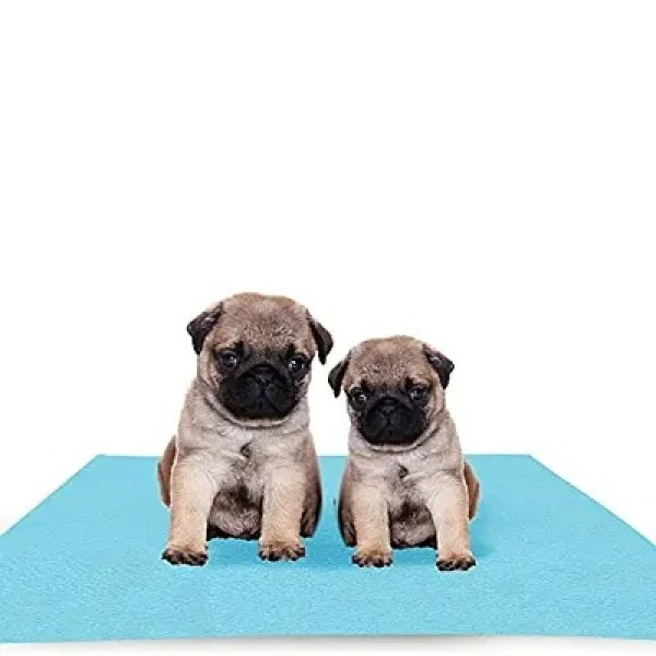 GR-Waterproof, Reusable, and Washable Pet Pee Pad ...