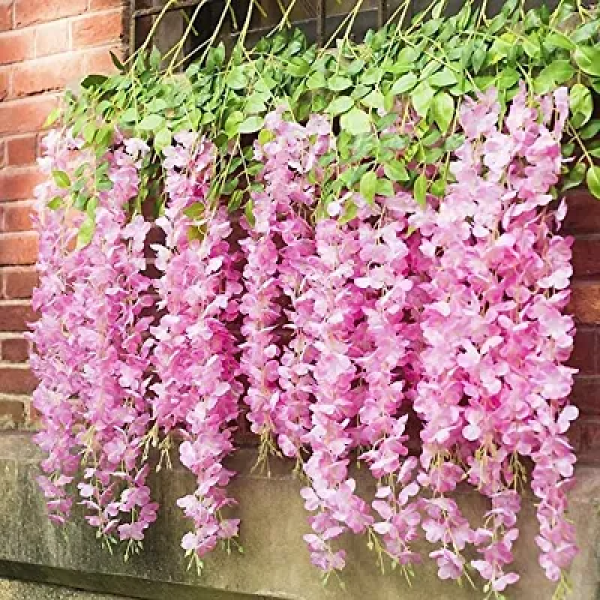 GR-Enchanting Pink Wisteria Vines: The Perfect Art...