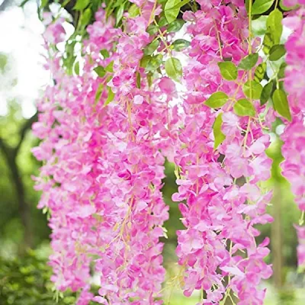 GR-Enchanting Pink Wisteria Vines: The Perfect Artificial Touch for Home, Party, Wedding, and Garden Decor  Flowers  [Premium Product] 